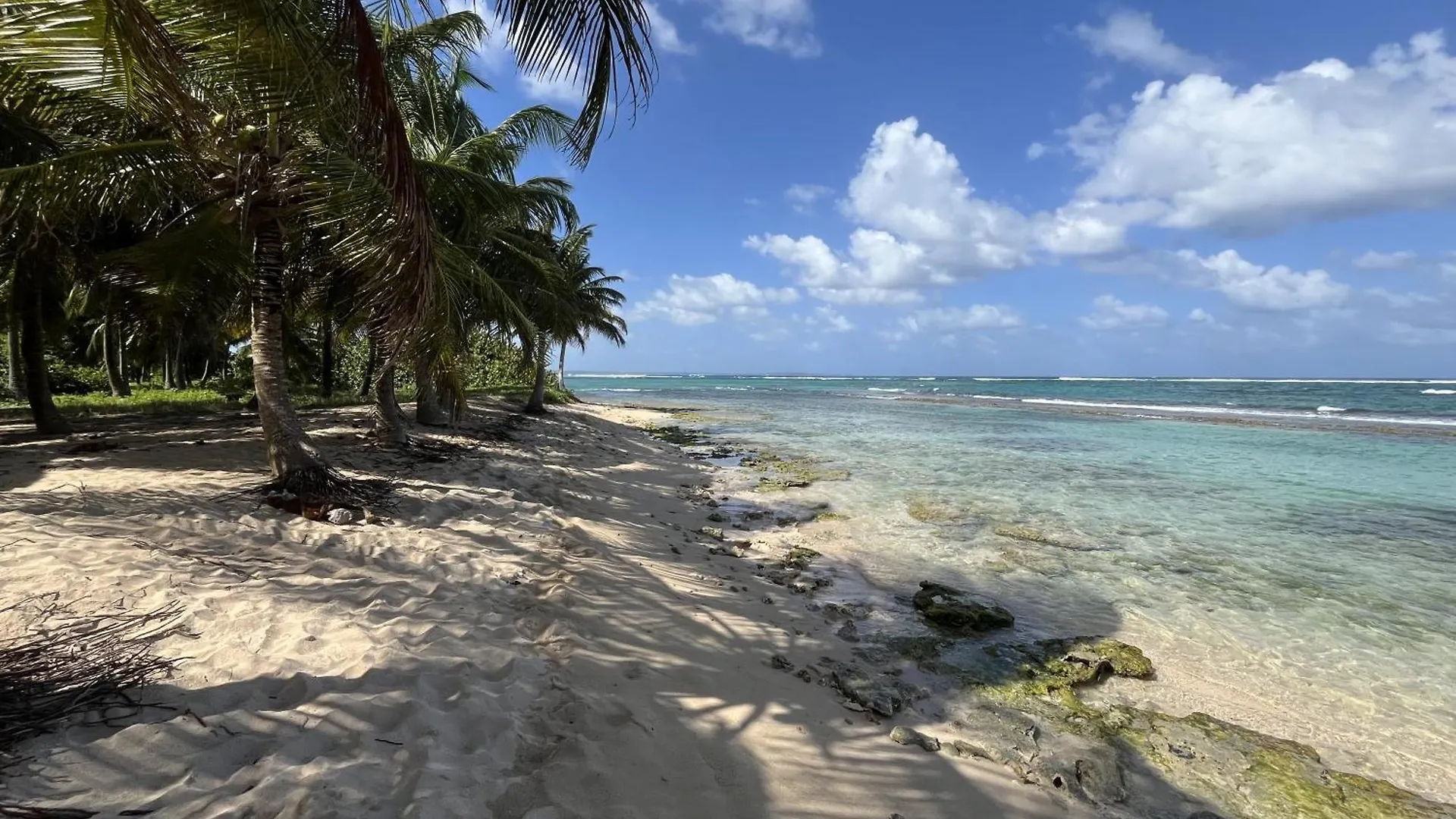 Duplex Vue Sur Mer, Plage A 100M Le Moule Appartement